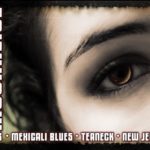 11/3/07 Moonalice poster by Chris Shaw & Alex Fischer
