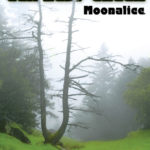 2/15/08 Moonalice poster by Chris Shaw & Alexandra Fischer 2/15/08 Moonalice poster by Chris Shaw & Alexandra Fischer