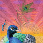 6/24/11 Moonalice poster by Carolyn Ferris