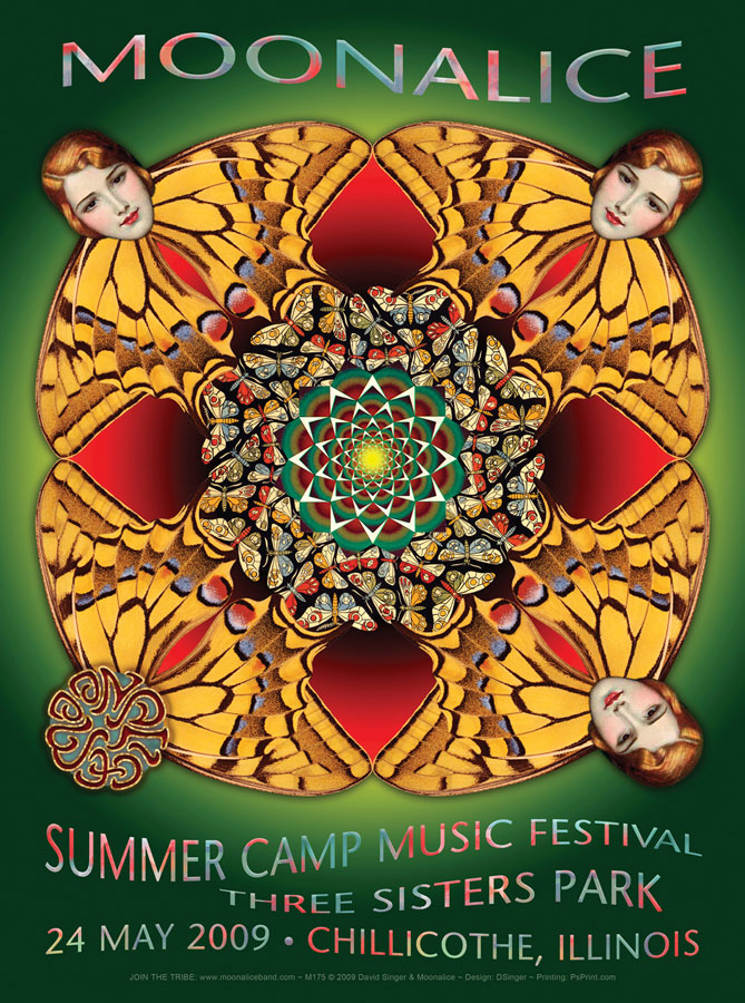 M175 › 5/24/09 Summer Camp Music Festival, Three Sisters Park, Chillicothe, IL poster by David Singer