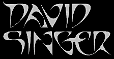 David Singer logo