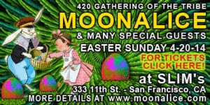 2014 Moonalice 420 Gathering of the Tribe sidebar banner animated