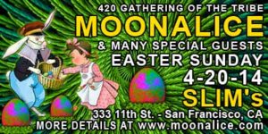 2014 Moonalice 420 Gathering of the Tribe banner sidebar