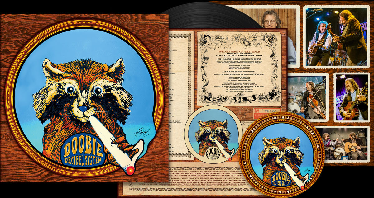 Doobie Decibel System album vinyl