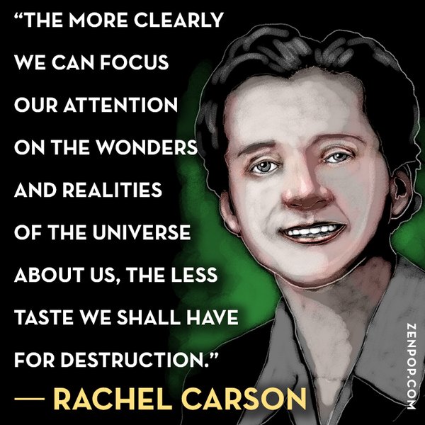 Rachel Carson illustration by John Mavroudis