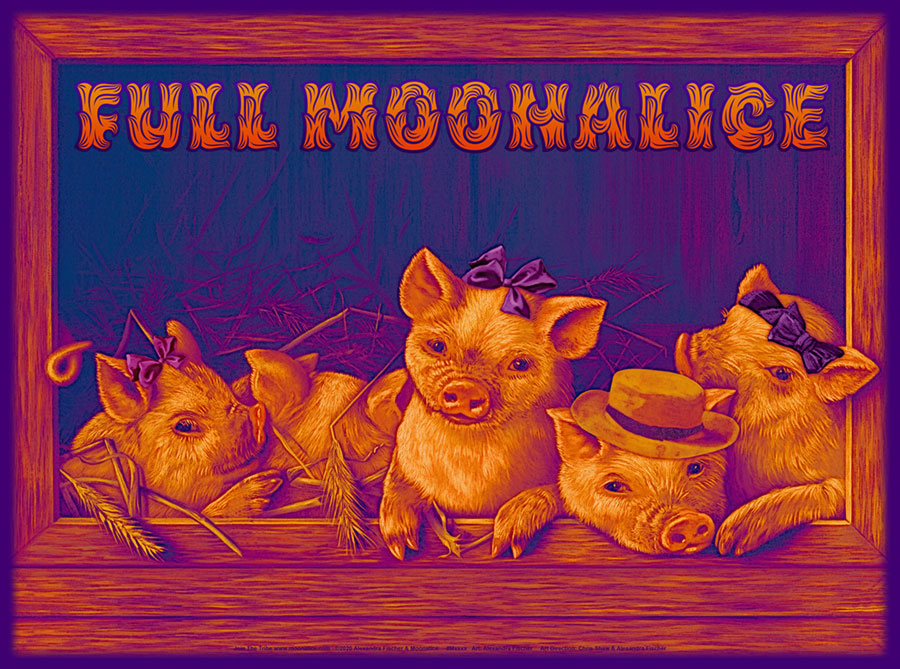 M11xx › 6/13/20 The Hog Farm Hangout, Black Oak Ranch, Laytonville CA poster by Alexandra Fischer